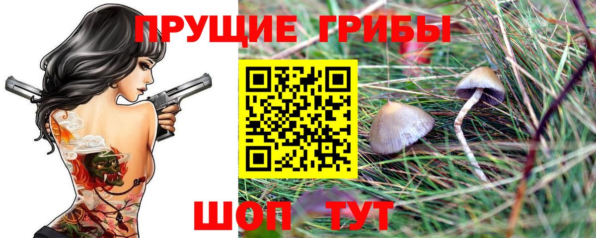 Псилоцибиновые грибы прущие грибы Кизляр